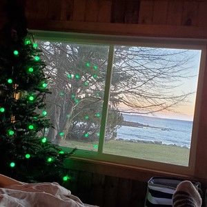 Meet your Posher, Juliana